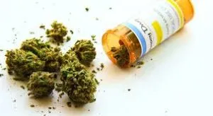 medical cannabis