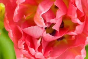 measuring spiritual emergency