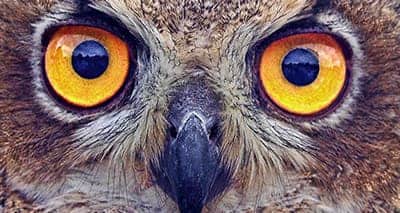 Spiritism and Spiritualism