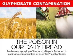 glyphosate