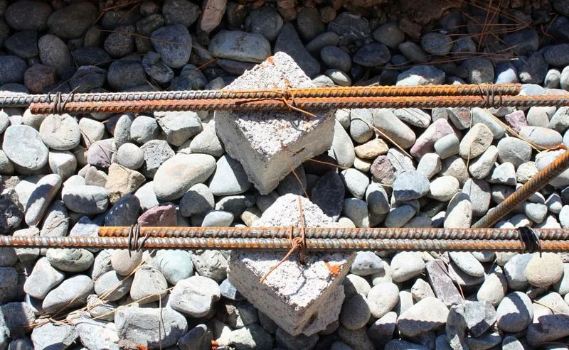 image of various pet food brands on shelves