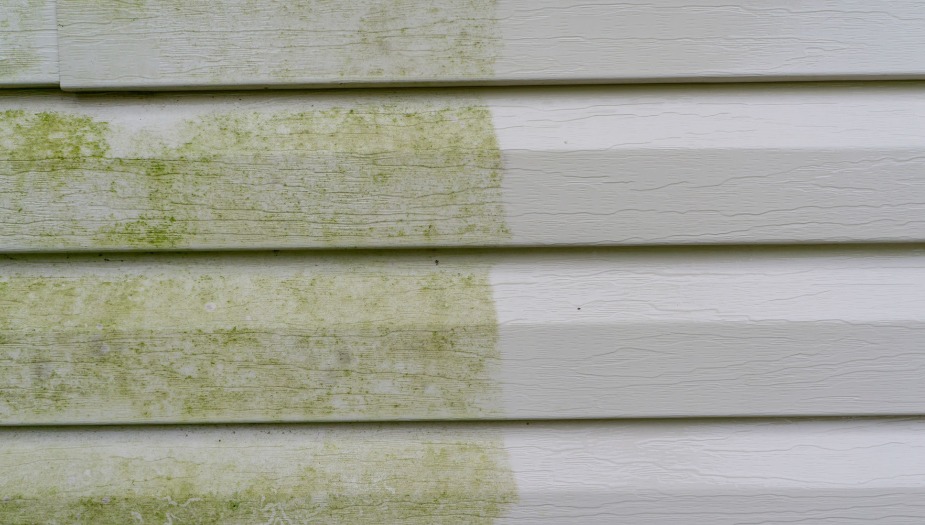 House siding partially cleaned showing a clear contrast between dirty green algae-covered and clean sections.