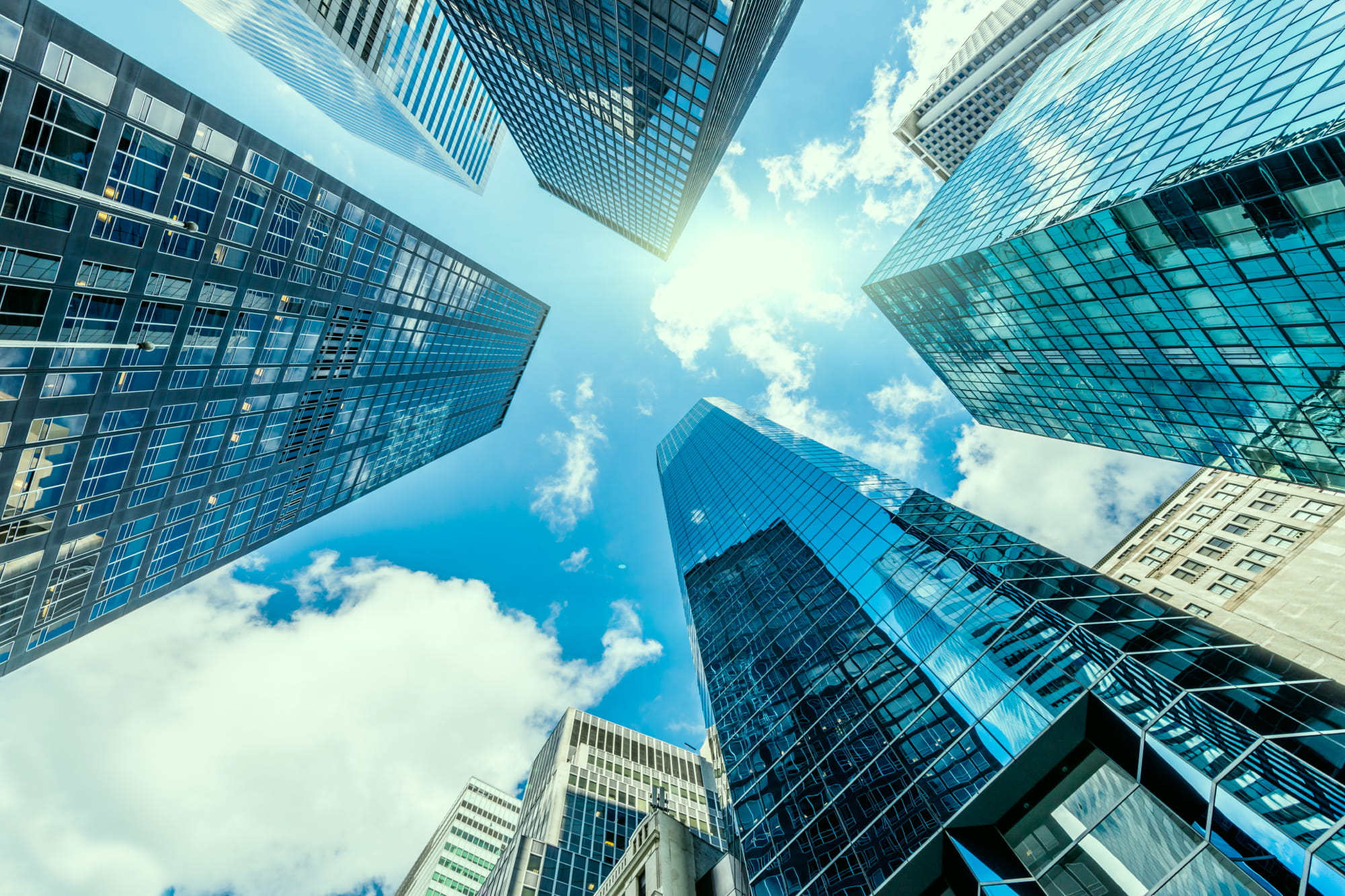 Boutique Approach, National Impact