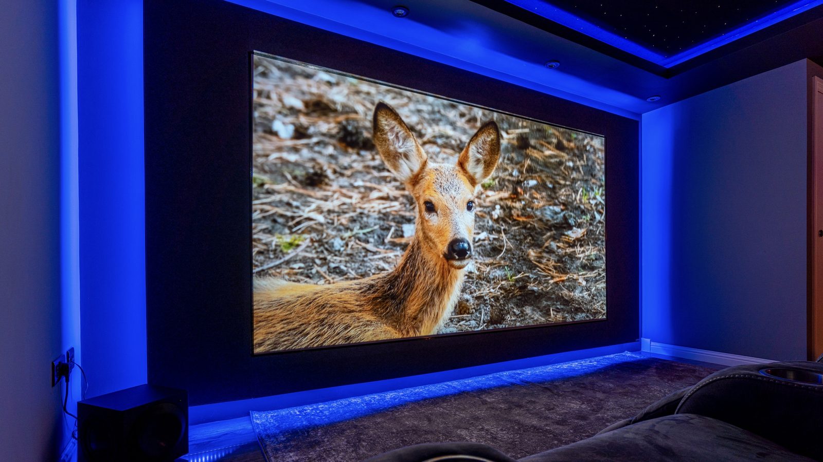 Bishopton garage home cinema, screen showing rugby match