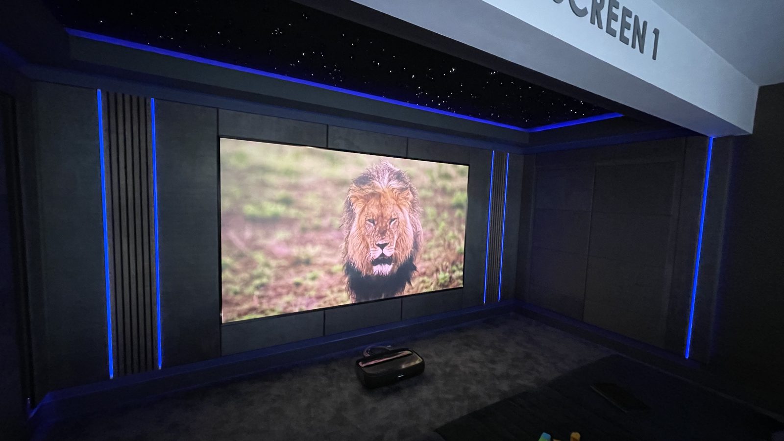 Finished Lenzie double garage home cinema, Screen 1 showing a lion film