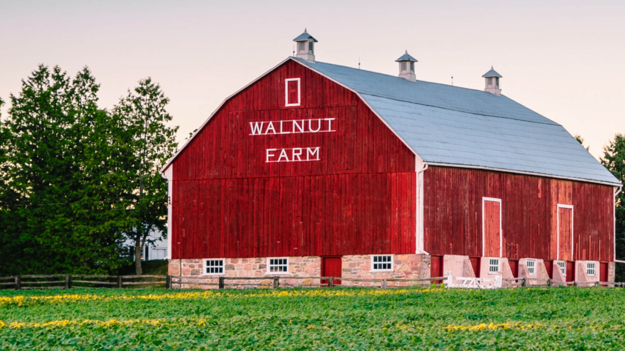 Our Farm - Farm Webflow Template