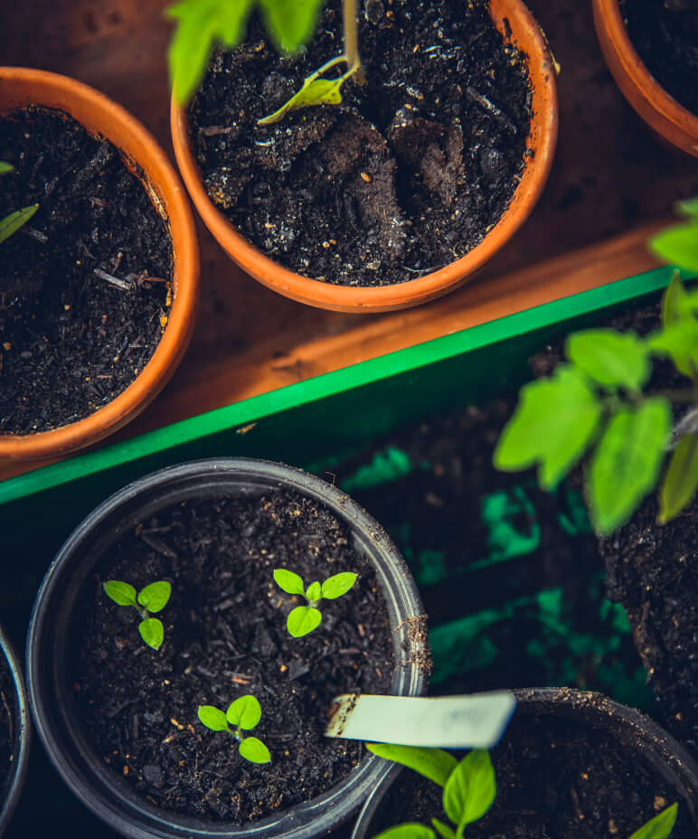 Our Story Gallery - Farm Webflow Template