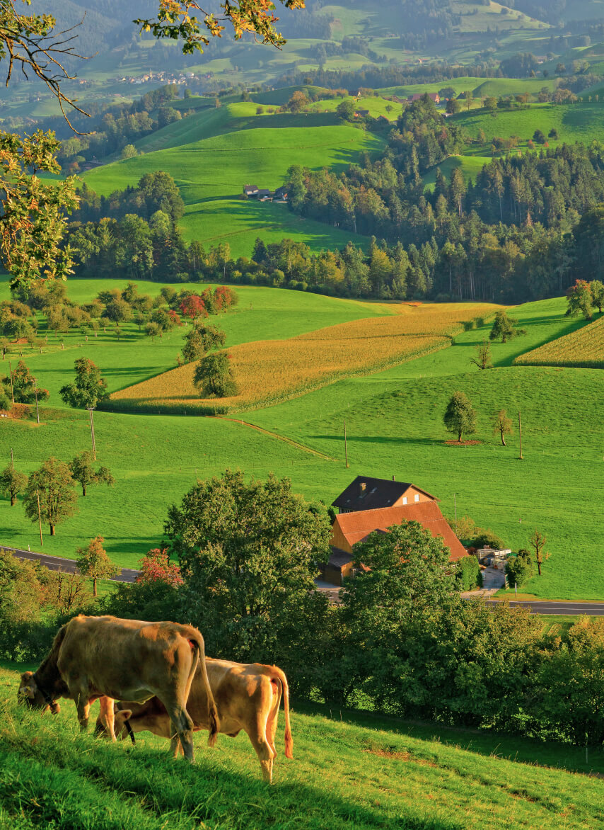 Our Story Gallery - Farm Webflow Template