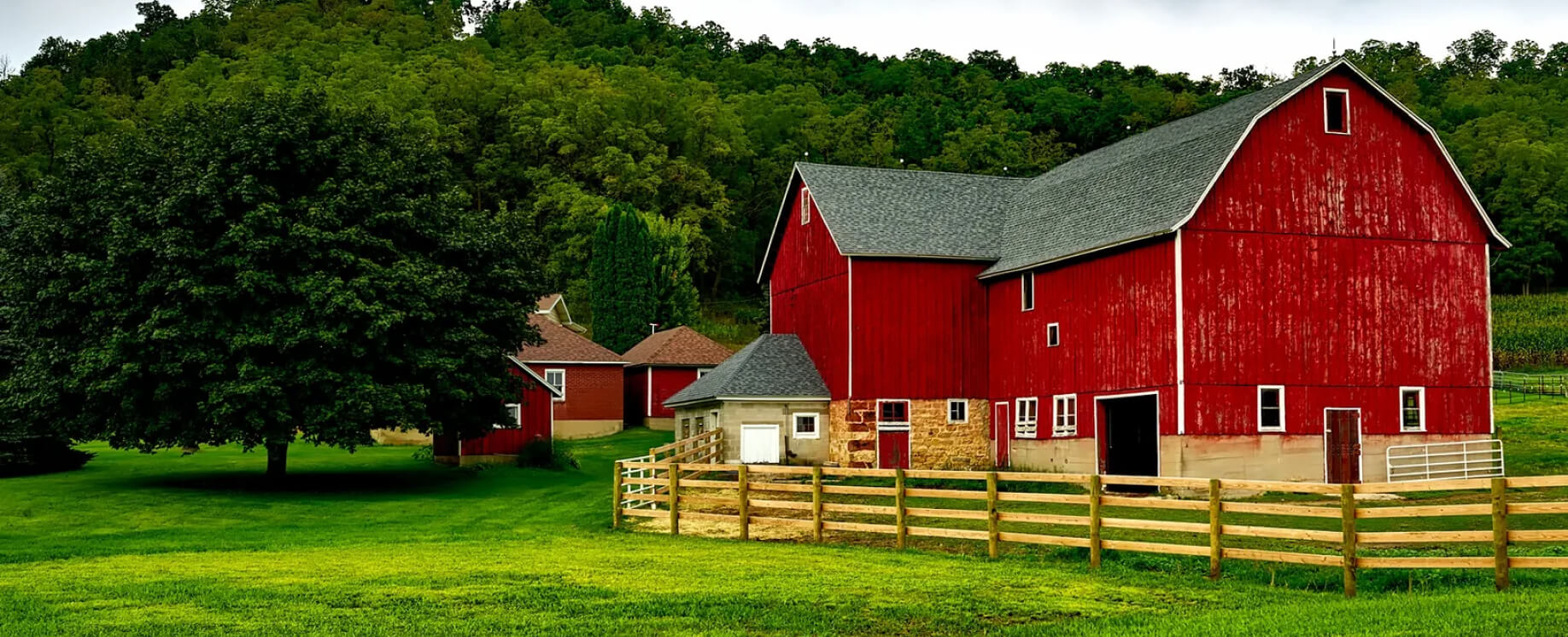 Los Angeles Farm - Farm Webflow Template