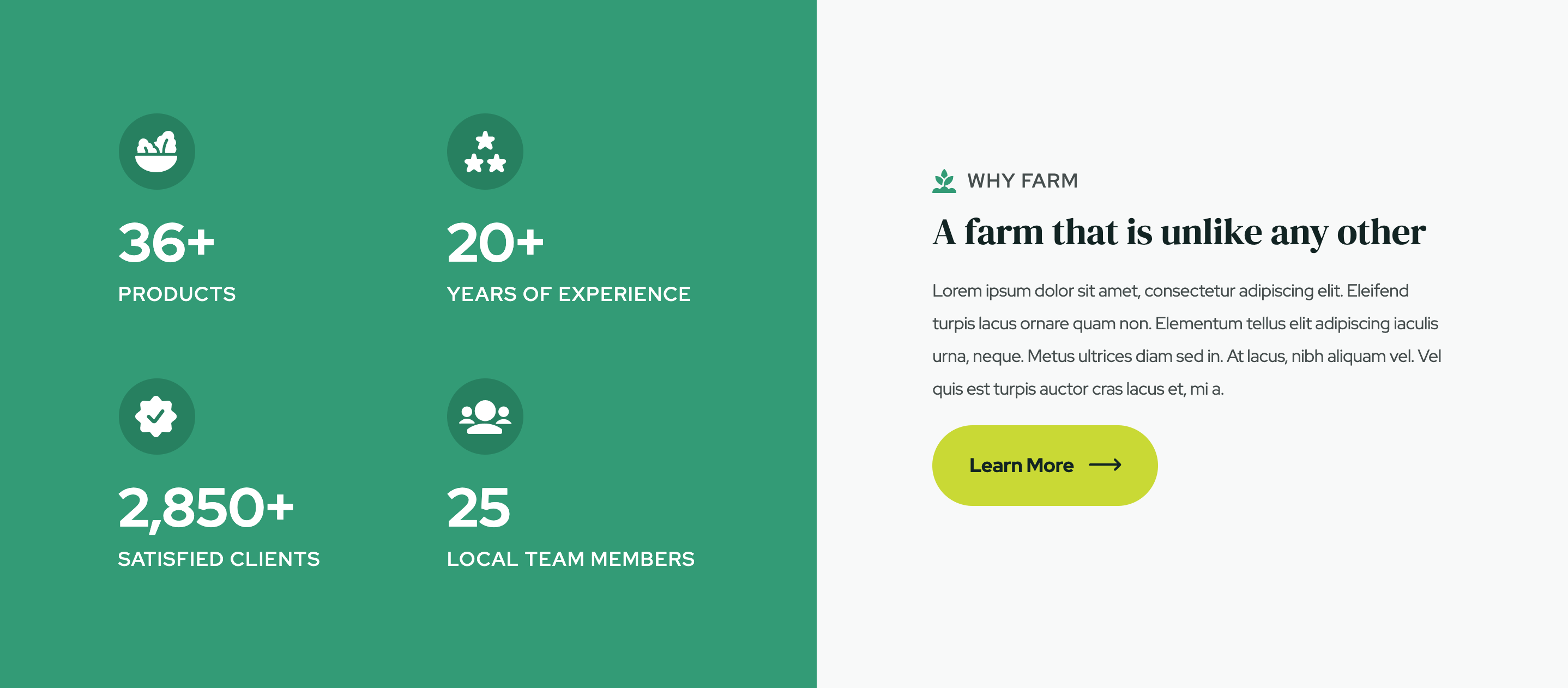 Graphic & Icons - Farm Webflow Template