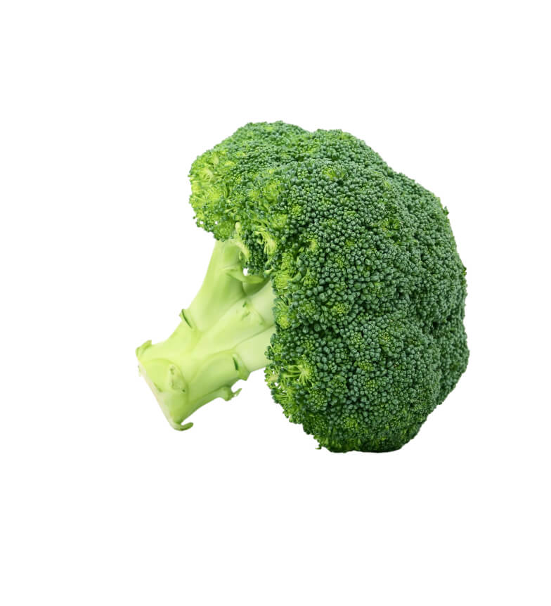 Broccoli