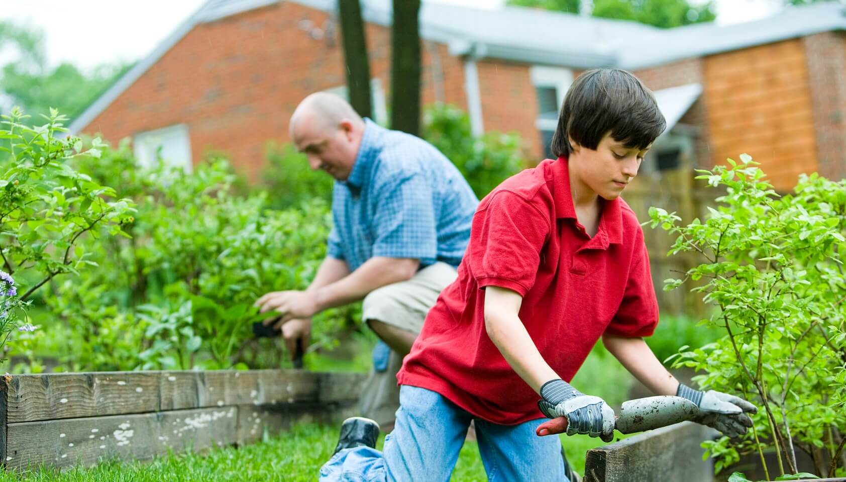 Tips to Successfully Grow Your Home Garden