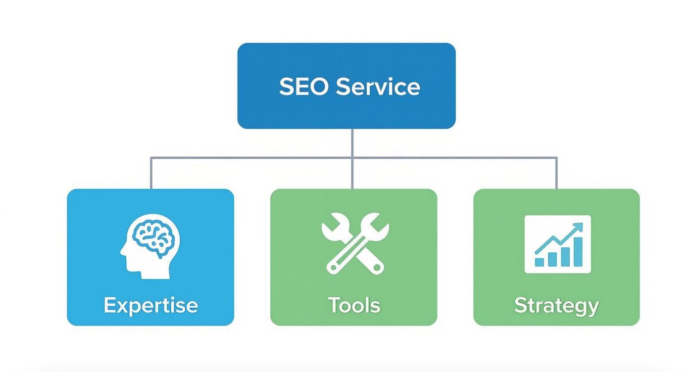 Diagram illustrating SEO service components: expertise (brain icon), tools (wrench icon), and strategy (chart icon).