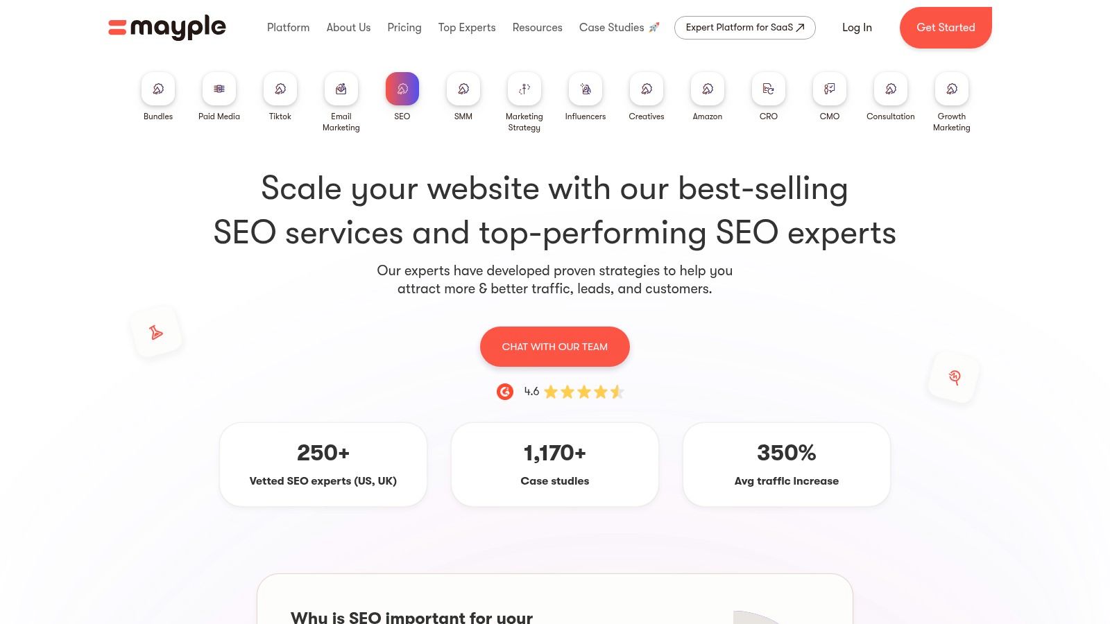 A screenshot of the Mayple platform showing their productized SEO packages with clear pricing and deliverables.