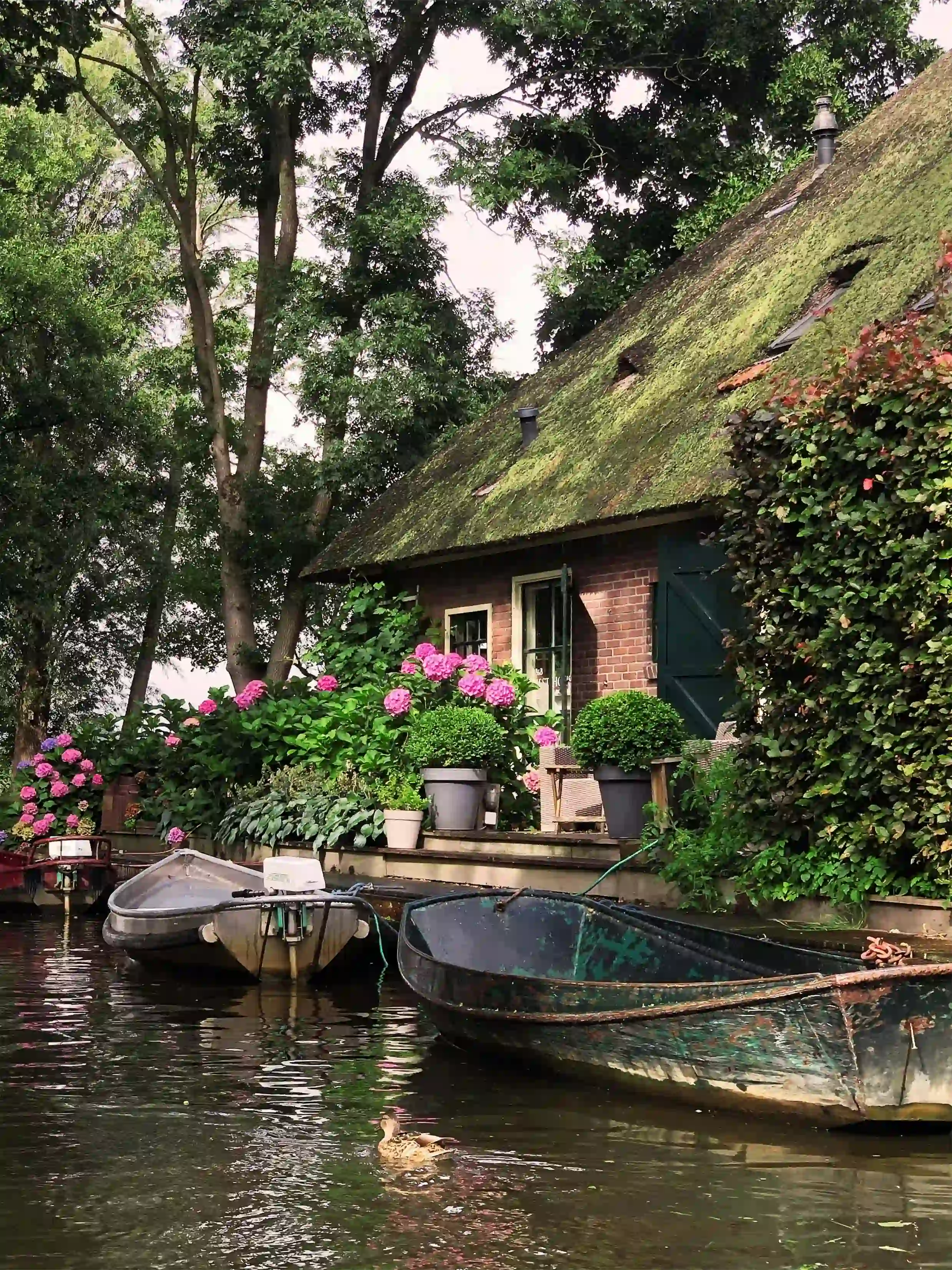 Boten op het water naast een rietgedekt huis in Giethoorn op onze private tour