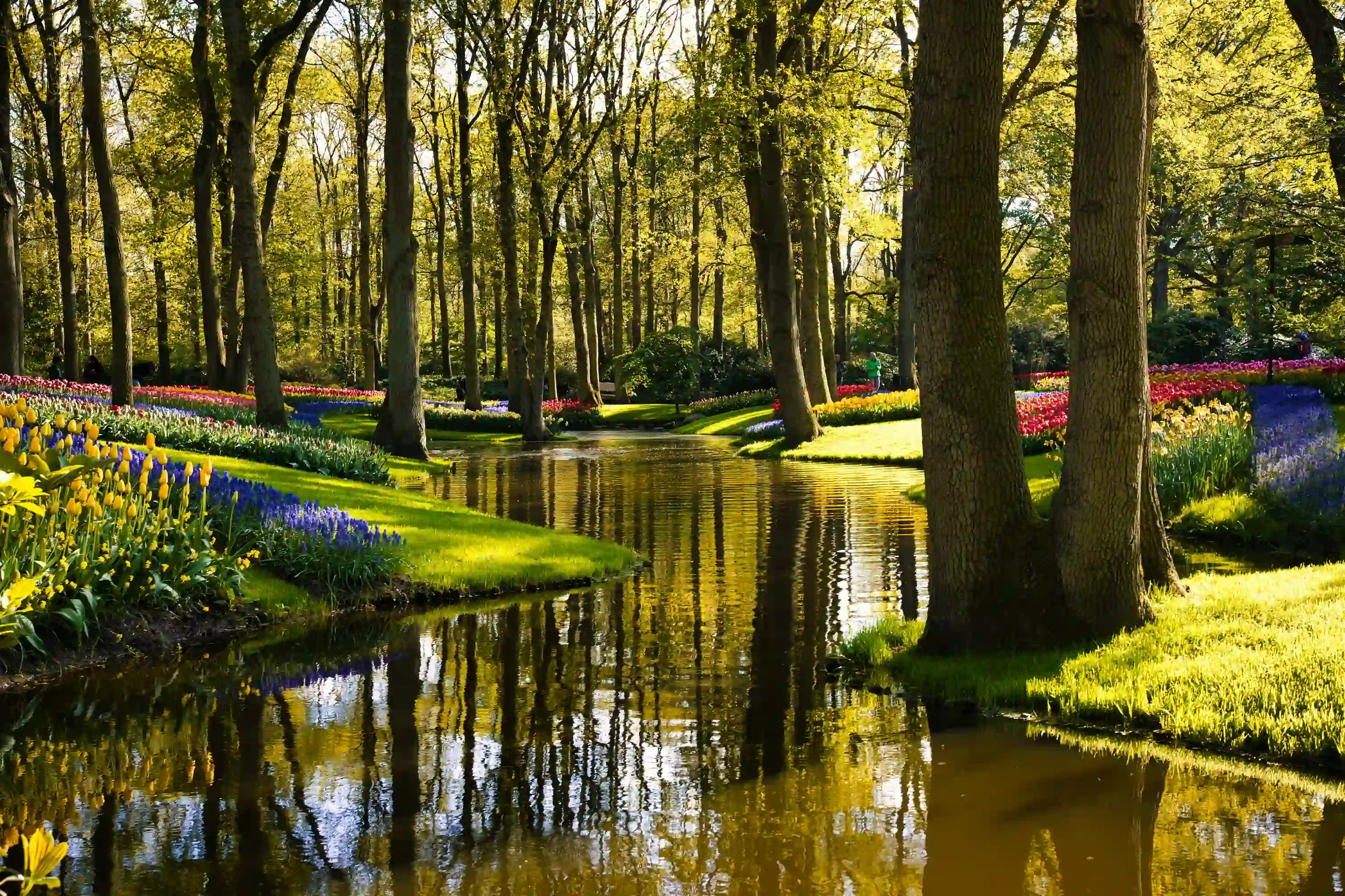 Schilderachtig riviertje omringd door bloemen in Keukenhof tijdens private sightseeing tour