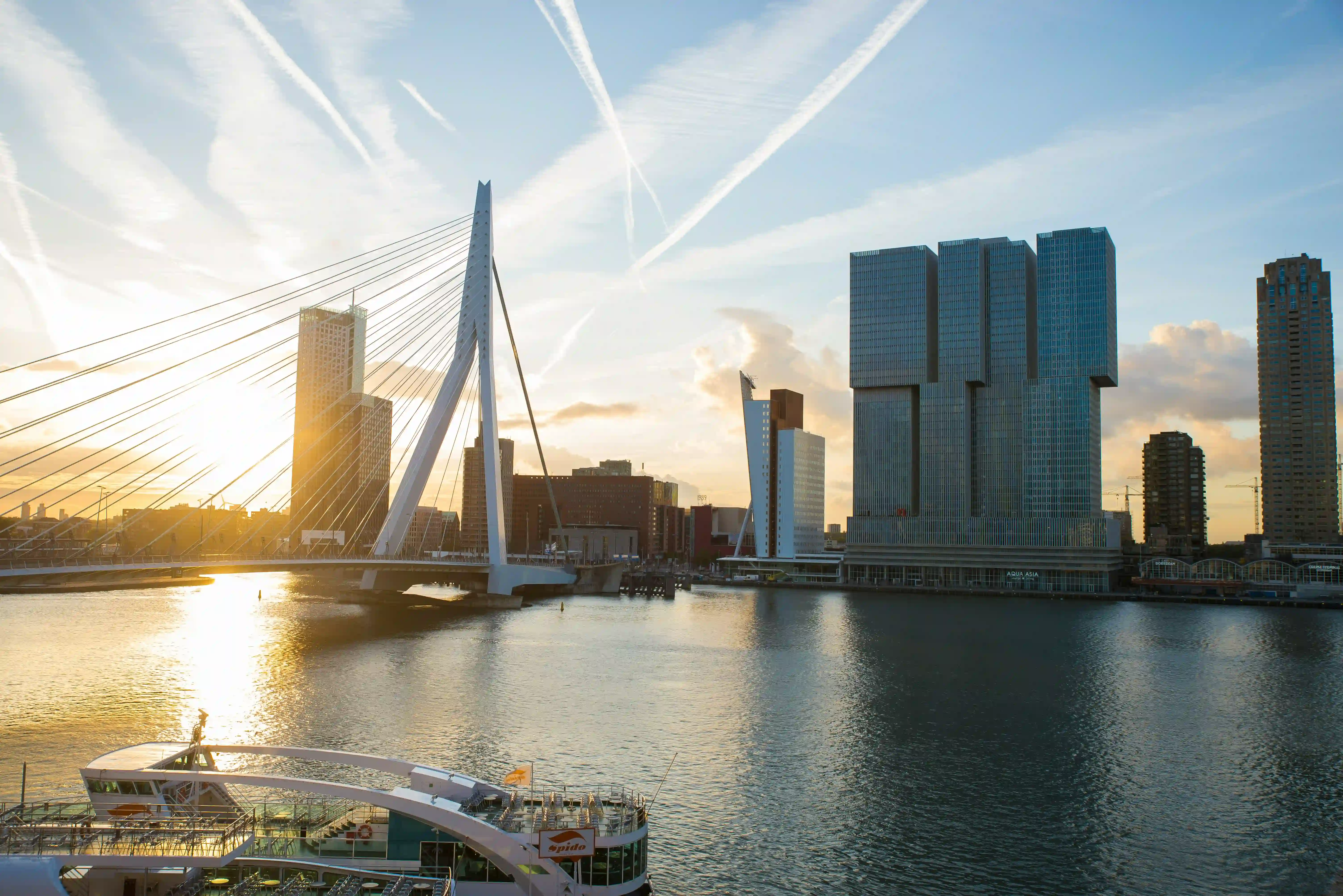De iconische witte Erasmusbrug in Rotterdam tijdens onze betaalbare sightseeing tour
