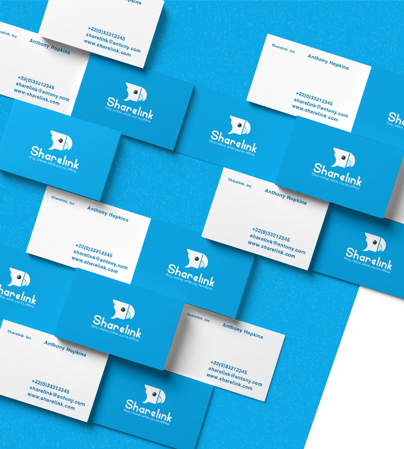 Gallery Single Image