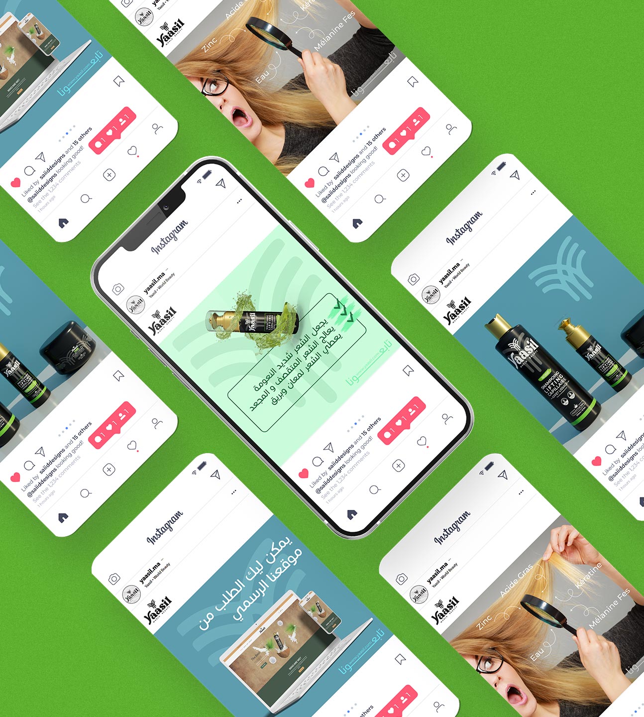 Gallery Single Image