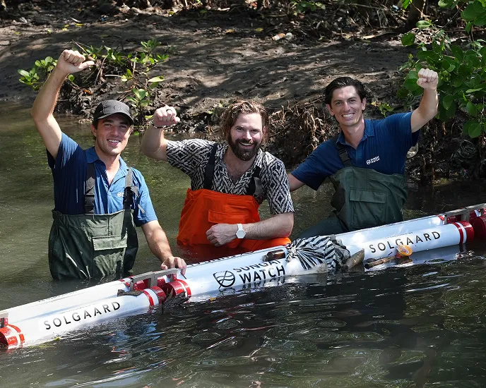 Illustration representing coastal cleanup and ecosystem restoration