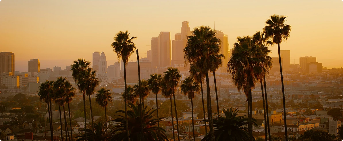 Los Angeles skyline at sunset with palm trees in the foreground