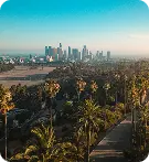 Aerial view of Los Angeles with palm trees in the foreground and downtown skyline under a clear blue sky