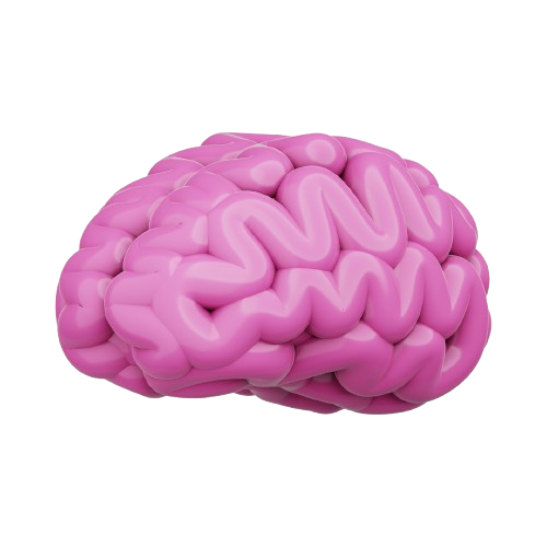 Three-dimensional digital illustration of a pink human brain from a side view.