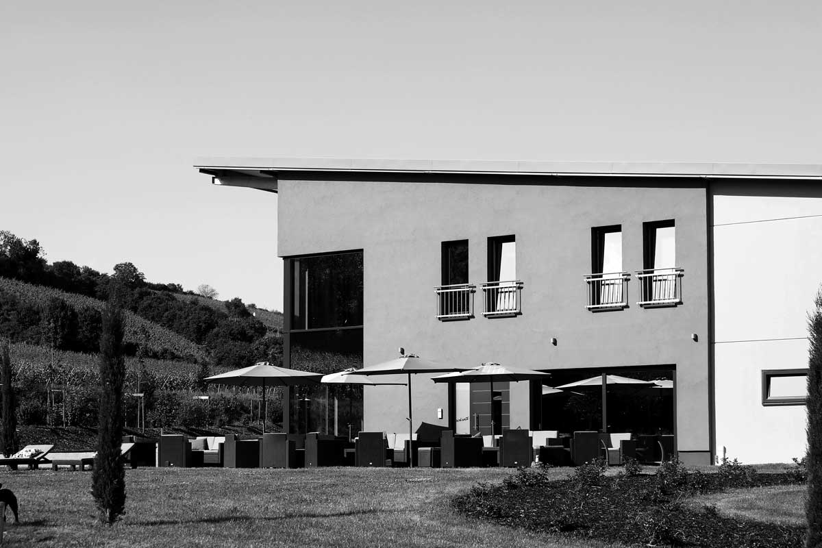 Vinothek des Weinguts Schroth in Asselheim mit großen Fenstern, Sonnenschirmen und Sitzgelegenheiten auf einer Wiese vor einem Weinberg.