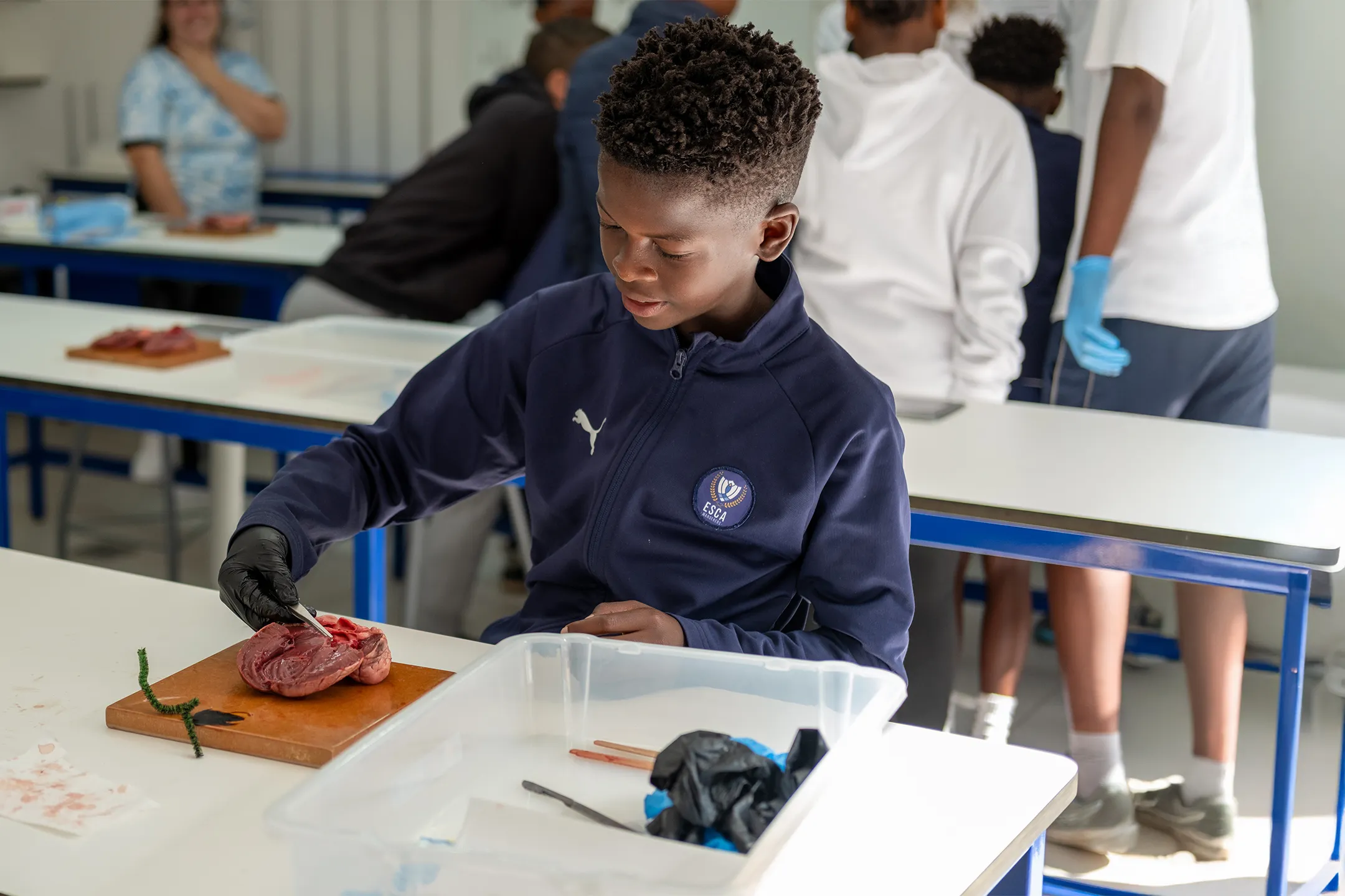 ESCA Student wearing black gloves dissecting an animal heart on a wooden board in a classroom setting.