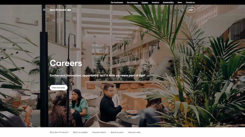 Screenshot of the official career page of DSM-Firmenich