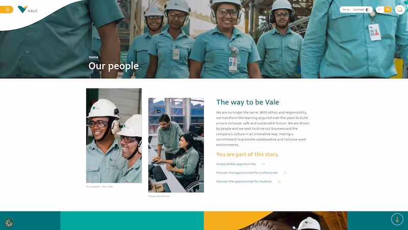 Screenshot of the official career page of Vale