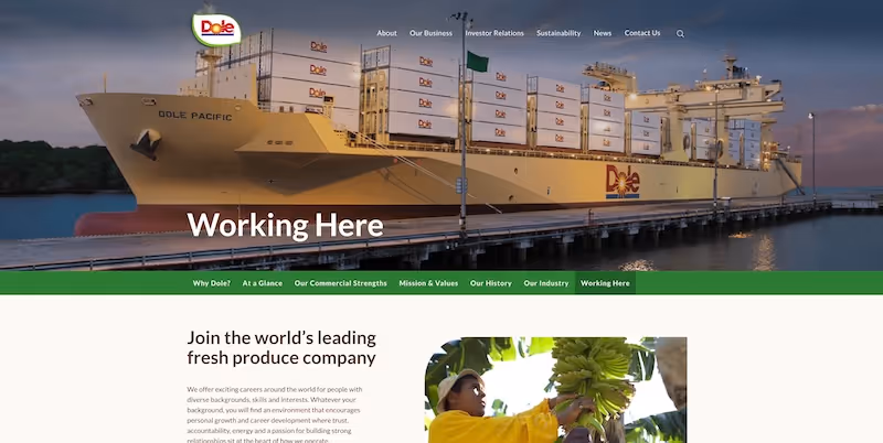 Screenshot of the official career page of Dole