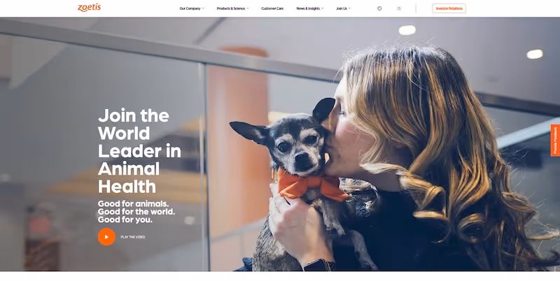 Screenshot of the official career page of Zoetis