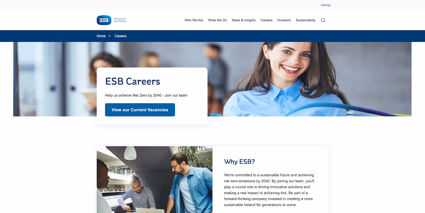 Screenshot of the official career page of ESB