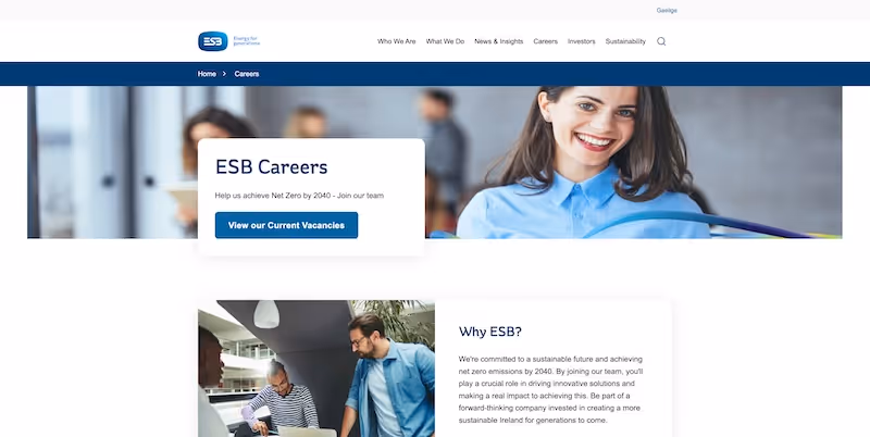 Screenshot of the official career page of ESB