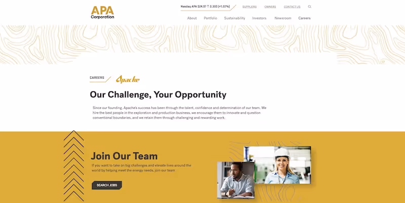 Screenshot of the official career page of APA