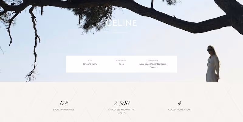 Screenshot of the official career page of Celine