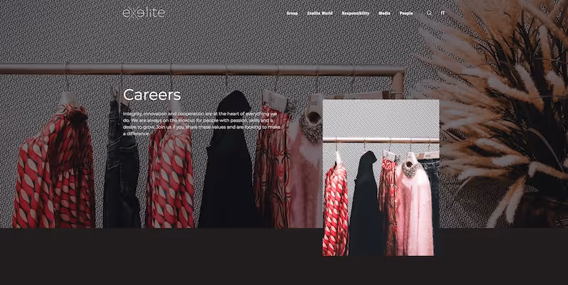 Screenshot of the official career page of Liu Jo