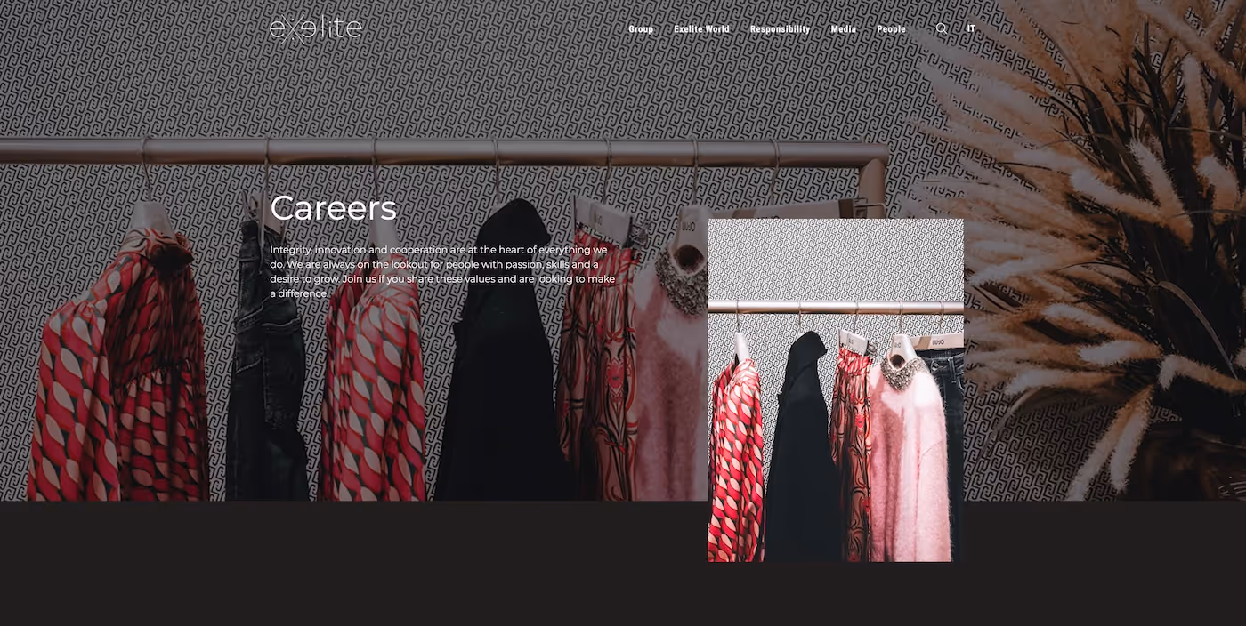 Screenshot of the official career page of Liu Jo