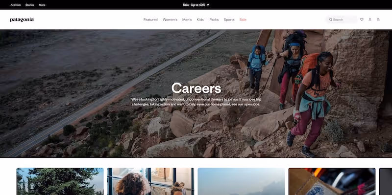 Screenshot of the official career page of Patagonia