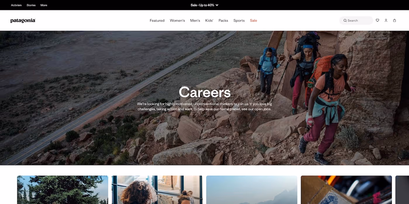 Screenshot of the official career page of Patagonia