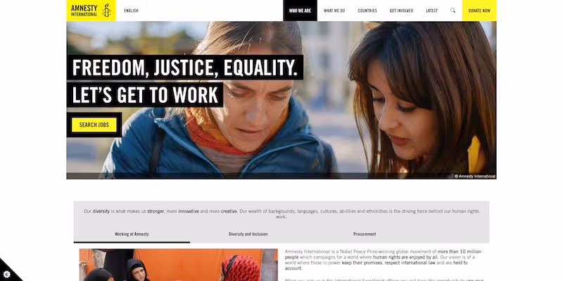 Screenshot of the official career page of Amnesty International