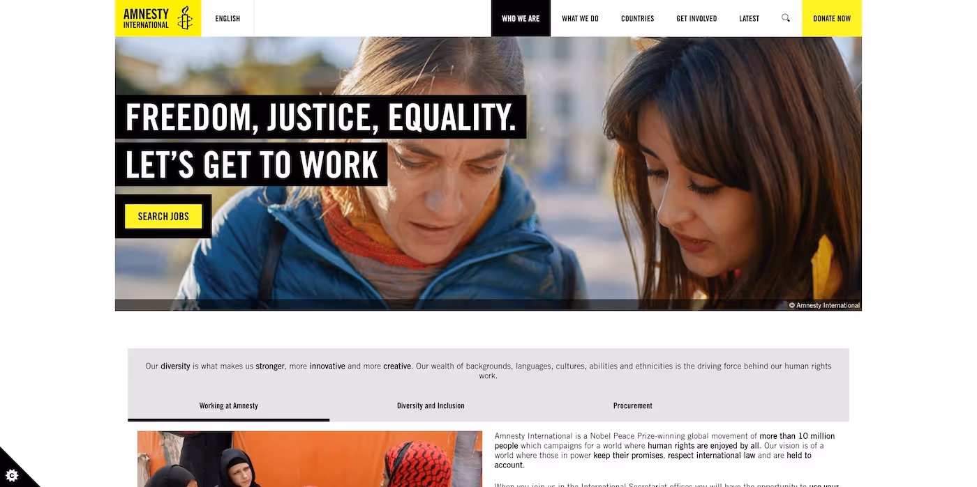 Screenshot of the official career page of Amnesty International