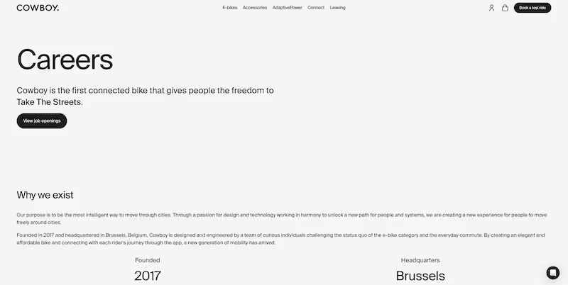 Screenshot of the official career page of Cowboy