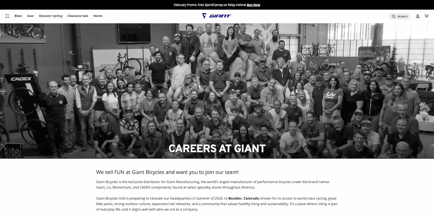 Screenshot of the official career page of Giant