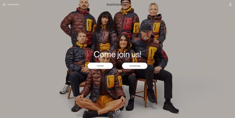 Screenshot of the official career page of Peak Performance