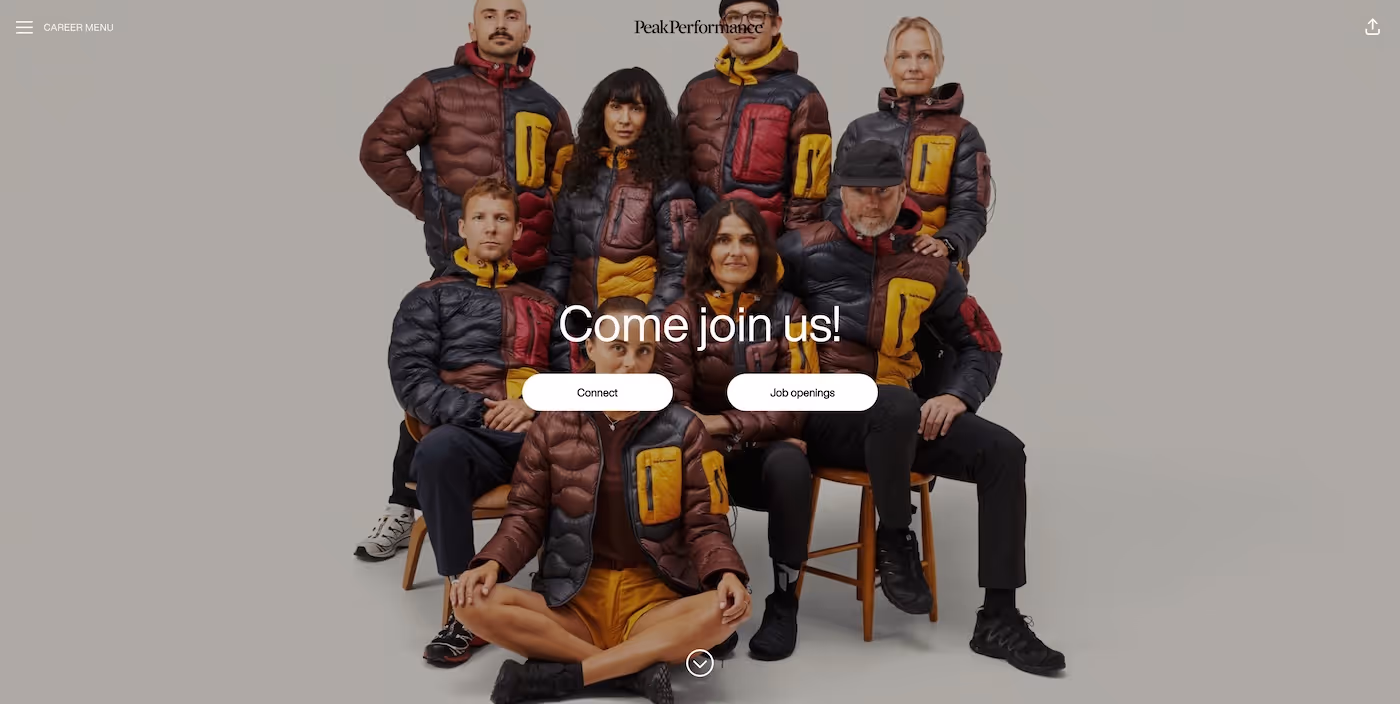 Screenshot of the official career page of Peak Performance