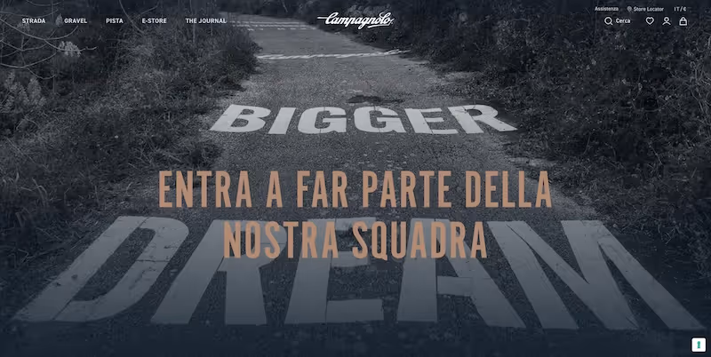 Screenshot of the official career page of Campagnolo