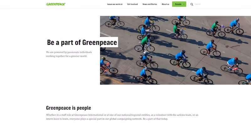 Screenshot of the official career page of Greenpeace
