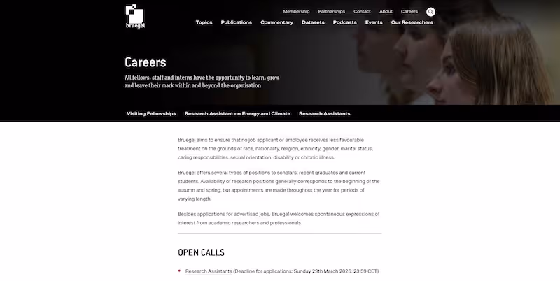 Screenshot of the official career page of Bruegel